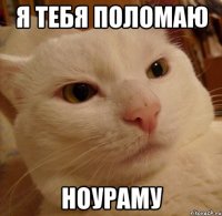 я тебя поломаю ноураму