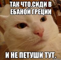 так что,сиди в ебаной греции и не петуши тут.