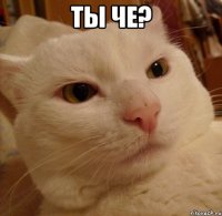 ты че? 