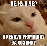 не, ну а че? ну ебнул рюмашку за хозяйку