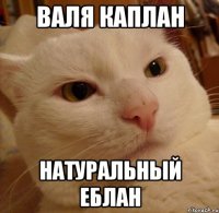 валя каплан натуральный еблан