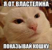 я от властелина показывай кошку