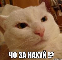  чо за нахуй !?