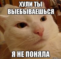 хули ты выебываешься я не поняла