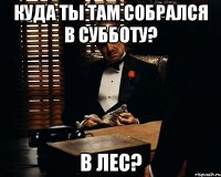 куда ты там собрался в субботу? в лес?