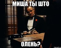 миша ты што олень?