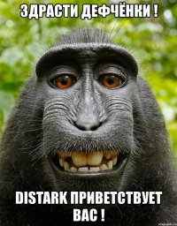 здрасти дефчёнки ! distark приветствует вас !