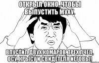 открыл окно, чтобы выпустить муху. впустил двух комаров, трех пчел, осу, крысу и свидетеля иеговы!