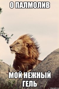 о палмолив мой нежный гель