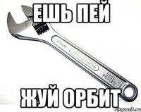 ешь пей жуй орбит