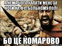 а нема чого хапати мене за ноги на футбольному полі бо це комарово