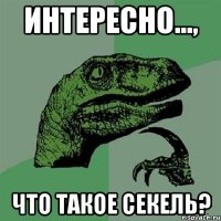 интересно..., что такое секель?