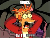 лоика, ты где???