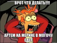 ******врот что делать!!! артем на мерине в могочу едет