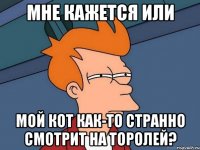 мне кажется или мой кот как-то странно смотрит на торолей?