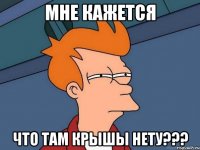 мне кажется что там крышы нету???