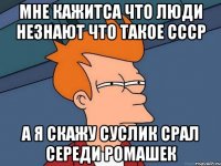 мне кажитса что люди незнают что такое ссср а я скажу суслик срал середи ромашек