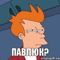  павлюк?