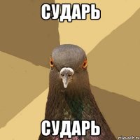 сударь сударь