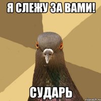 я слежу за вами! сударь