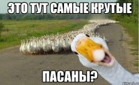 это тут самые крутые пасаны?