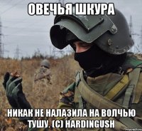овечья шкура никак не налазила на волчью тушу. (c) hardingush