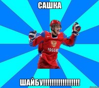 сашка шайбу!!!