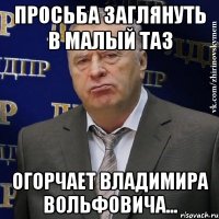 просьба заглянуть в малый таз огорчает владимира вольфовича...