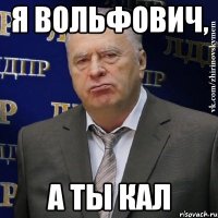 я вольфович, а ты кал