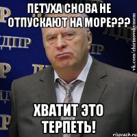 петуха снова не отпускают на море??? хватит это терпеть!