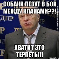 собаки лезут в бой между кланами??! хватит это терпеть!!!