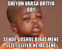 sheyun varsa ortiya goy sende goshul birat mene lezet eliyer heyat sene