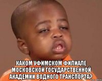  каком уфимском филиале московской государственной академии водного транспорта?