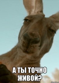  а ты точно живой?