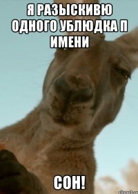 я разыскивю одного ублюдка п имени сон!