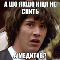 а шо якшо кіця не спить а медитує?