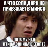 а что если дорн не приезжает в минск потому что птица-синица в египте