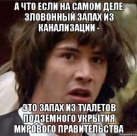 а что если на самом деле зловонный запах из канализации - это запах из туалетов подземного укрытия мирового правительства