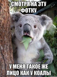смотря на эту фотку у меня такое же лицо как у коалы