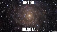 антон пидота