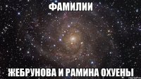 фамилии жебрунова и рамина охуены