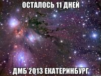 осталось 11 дней дмб 2013 екатеринбург