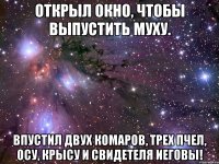 открыл окно, чтобы выпустить муху. впустил двух комаров, трех пчел, осу, крысу и свидетеля иеговы!