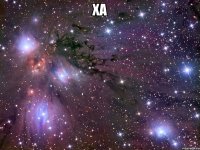 ха 