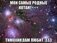 мои самые родные котан!:<<< тимохин,вам любит :333