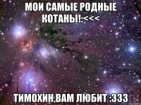 мои самые родные котаны!:<<< тимохин,вам любит :333