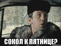  сокол к пятнице?