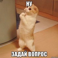 ну задай вопрос