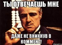 ты отвечаешь мне даже не вникнув в коммент!