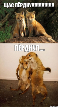 ЩАС ПЁРДНУ!!! пёрднул....